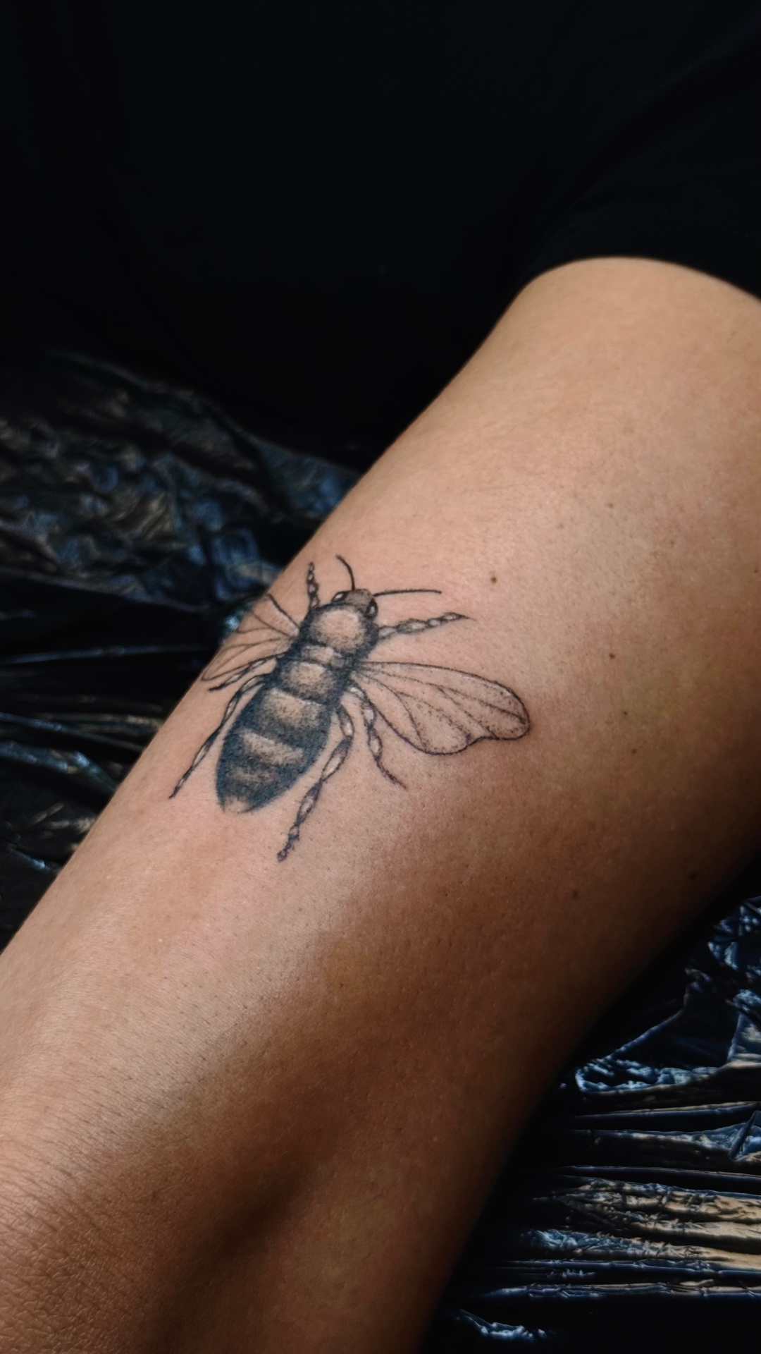 Honeybee in fine line and soft shading tattooed on a forearm