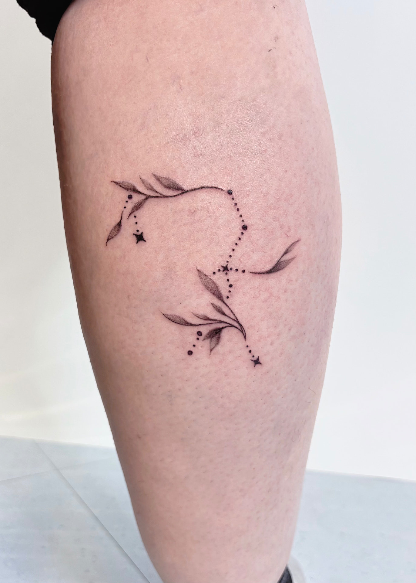 Fine line Pisces constellation with leafy vines and stars tattooed on a calf