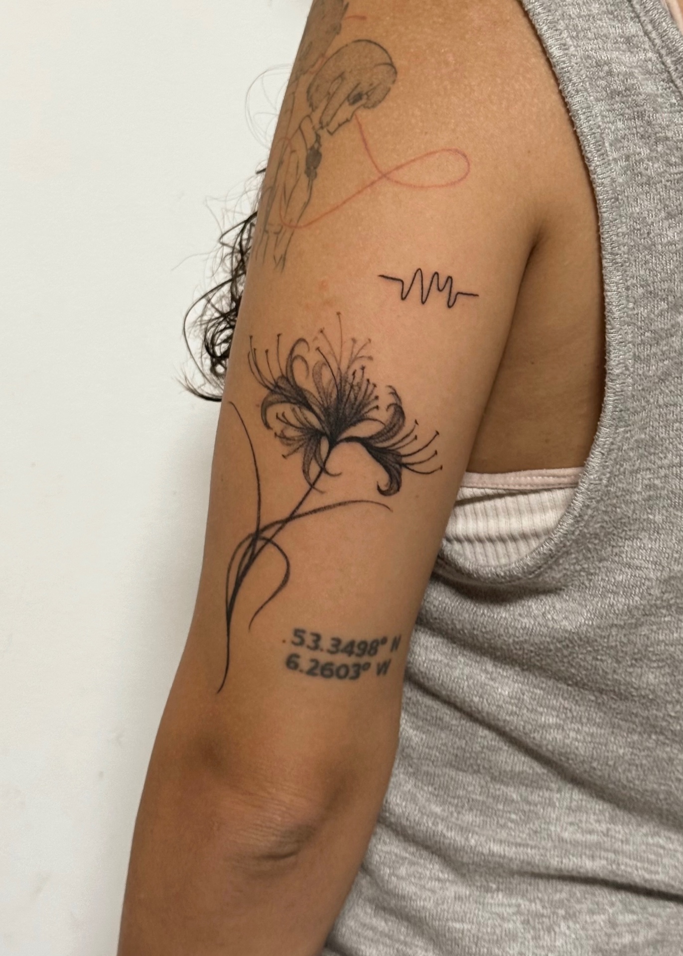 Fine line red spider lily with coordinates tattooed on the back of an upper arm
